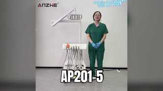 팬더 버전 모바일 수의학 치과 치료 스테이션 AP201-5(8개 조명 포함) |-제품 소개