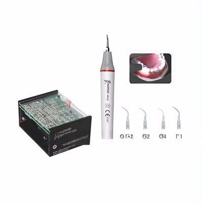화물 준비 된 나무 덩굴 LED N2 치아 치아 청소를 위한 치아 초음파 스칼러