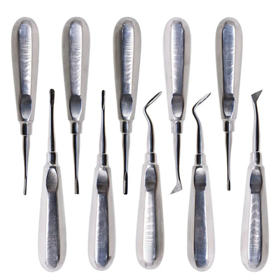 10pcs 치과 엘리베이터 키트 치과 의사 외과 도구 스테인리스 스틸 치과 뿌리 엘리베이터