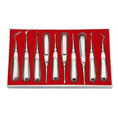 10pcs 치과 엘리베이터 키트 치과 의사 외과 도구 스테인리스 스틸 치과 뿌리 엘리베이터