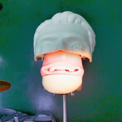 치과 훈련 시뮬레이션 머리 트롤이 설치 치과 유령 머리와 치아 모델 교육 및 실습