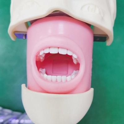 치과 훈련 시뮬레이션 머리 트롤이 설치 치과 유령 머리와 치아 모델 교육 및 실습
