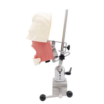 치과 시뮬레이터 교육 유닛 치과대학 시뮬레이션 실습 시스템 치과 임플란트 팬텀 헤드