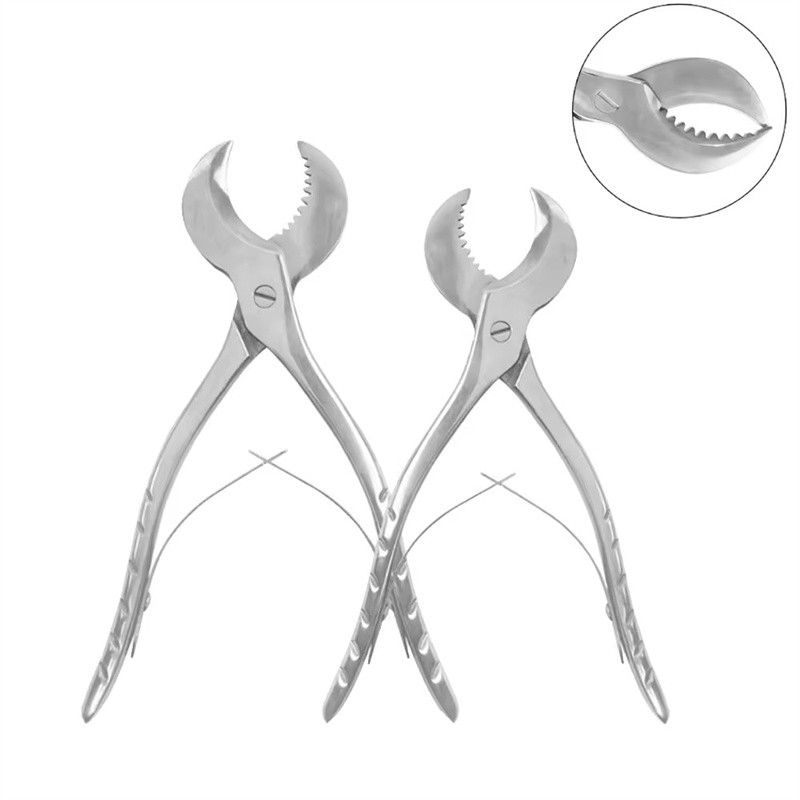 스테인리스 스틸 치과 포렌스 깁스 플래스터 시어 톱니가 있는 치과 톱니