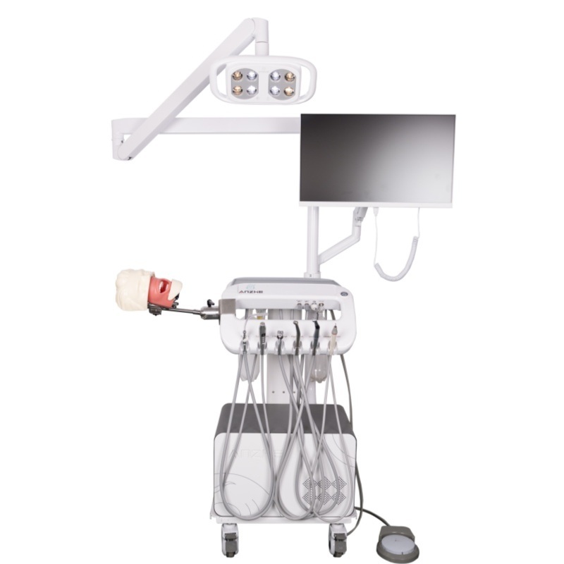 치과 마취 발치 모델 치과대학 마취 주사 훈련 모델 구강 마취 시뮬레이터 시스템