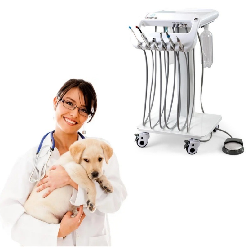 High End Veterinary Workbench for Small Animals Dental Equipment with Surgical Instruments