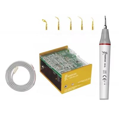 좋은 가격 목박쥐 N3 LED 치아 청소 장비 초음파 치아 스칼러 6 가지 팁 온라인으로