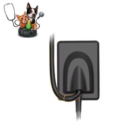 좋은 가격 수의사 치과 장비 디지털 엑스레이 영상 시스템 애완 동물 치아 엑스레이 센서 RVG 온라인으로