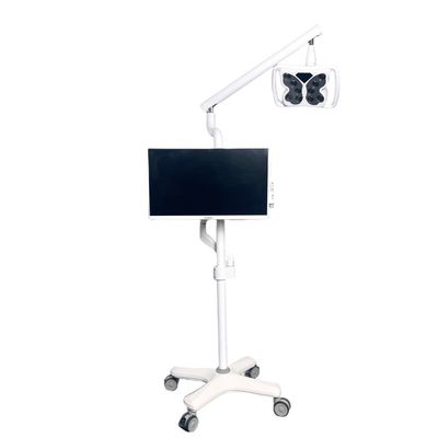 좋은 가격 4 유니버설 휠 냉면 가벼운 치아 하얀화 시스템 나비 모양 치아 하얀화 장비 온라인으로