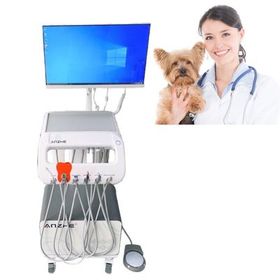 좋은 가격 이동식 치과 작업 테이블 동물 치료 장비 동물 치과 관리 이동식 치과 카트 온라인으로