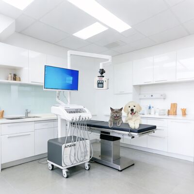 좋은 가격 내장형 X-ray 및 PC를 갖춘 휴대용 치과 치료 장치, 클리닉 및 아웃리치 용 에어 컴프레서 및 석션 시스템이 통합된 모바일 치과 카트, 치과 전달 장치 온라인으로