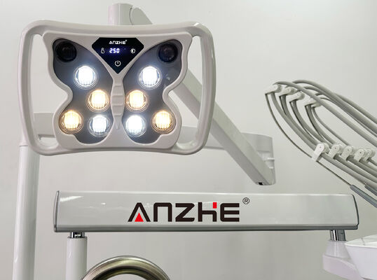 무소음 32L 에어 컴프레서 및 304 스테인리스 스틸 재질의 5구 기구 트레이를 갖춘 전문가용 수의 치과 치료 유닛