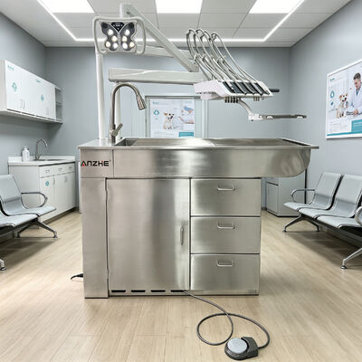 좋은 가격 무소음 32L 에어 컴프레서 및 304 스테인리스 스틸 재질의 5구 기구 트레이를 갖춘 전문가용 수의 치과 치료 유닛 온라인으로