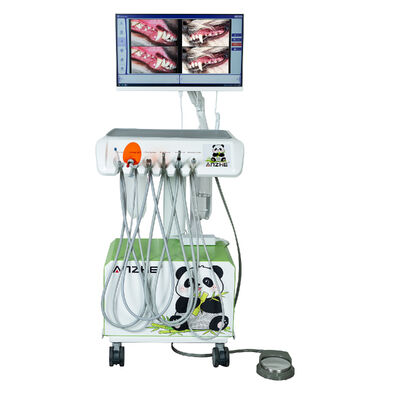 HD 오럴 카메라 수의사 치과 치료 카트 모바일 수의사 치과 단위 고화질 영상 흡수 스칼러 LED 치료 조명