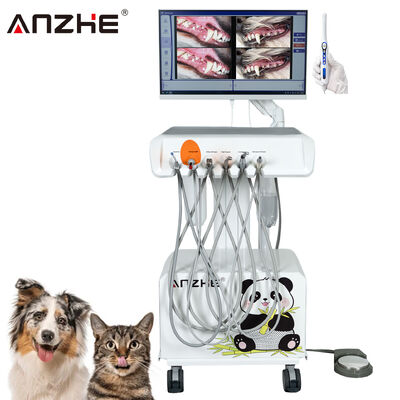 좋은 가격 공장 직접 휴대용 수의사 치과 단위 HD 구강 카메라와 23.8 인치 터치 스크린 모두 한 컴퓨터에 설치 된 공기 압축기 스칼러 동물 치과 클리닉을위한 치료 라이트 온라인으로